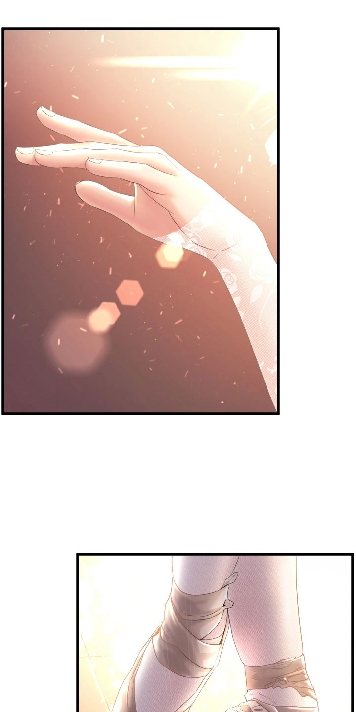 第1章：黑天鹅0