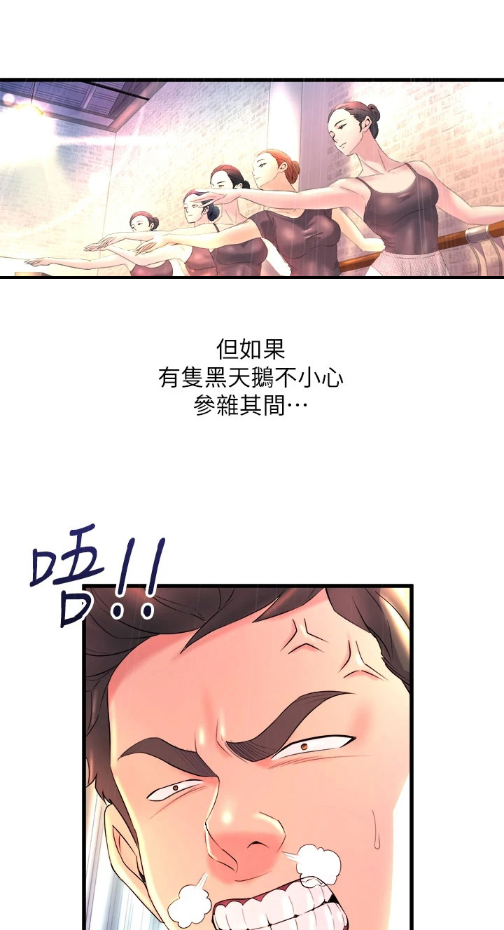 第1章：黑天鹅3