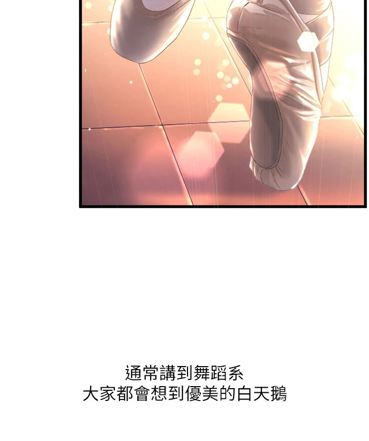 第1章：黑天鹅1