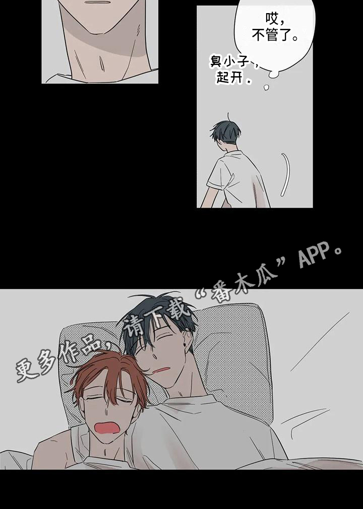 第5章：试试11