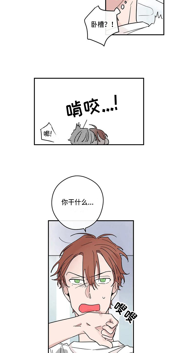 第31章：抗拒7