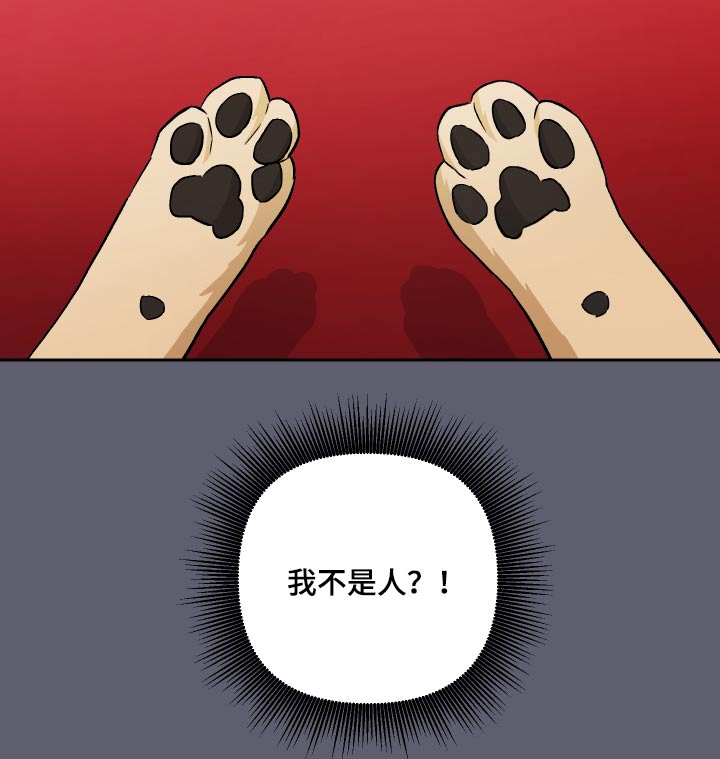 第52章：【第二季】果然16