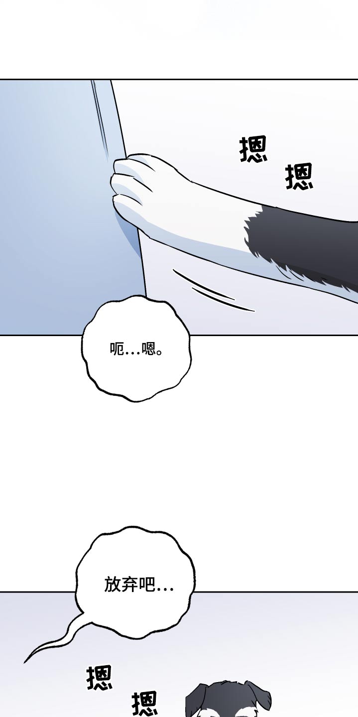 第63章：【第二季】保密12