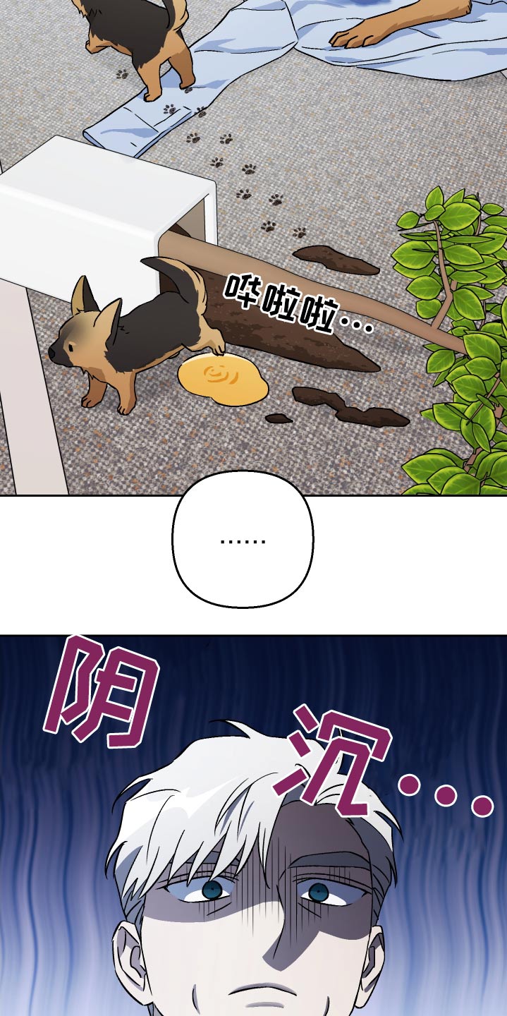 第100章：【第二季】做饭4