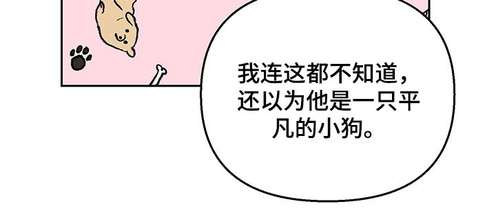 第35章：谣言10