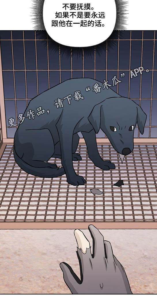第44章：相似16