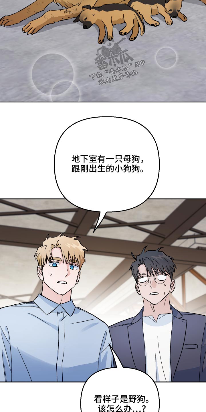 第59章：【第二季】收养19