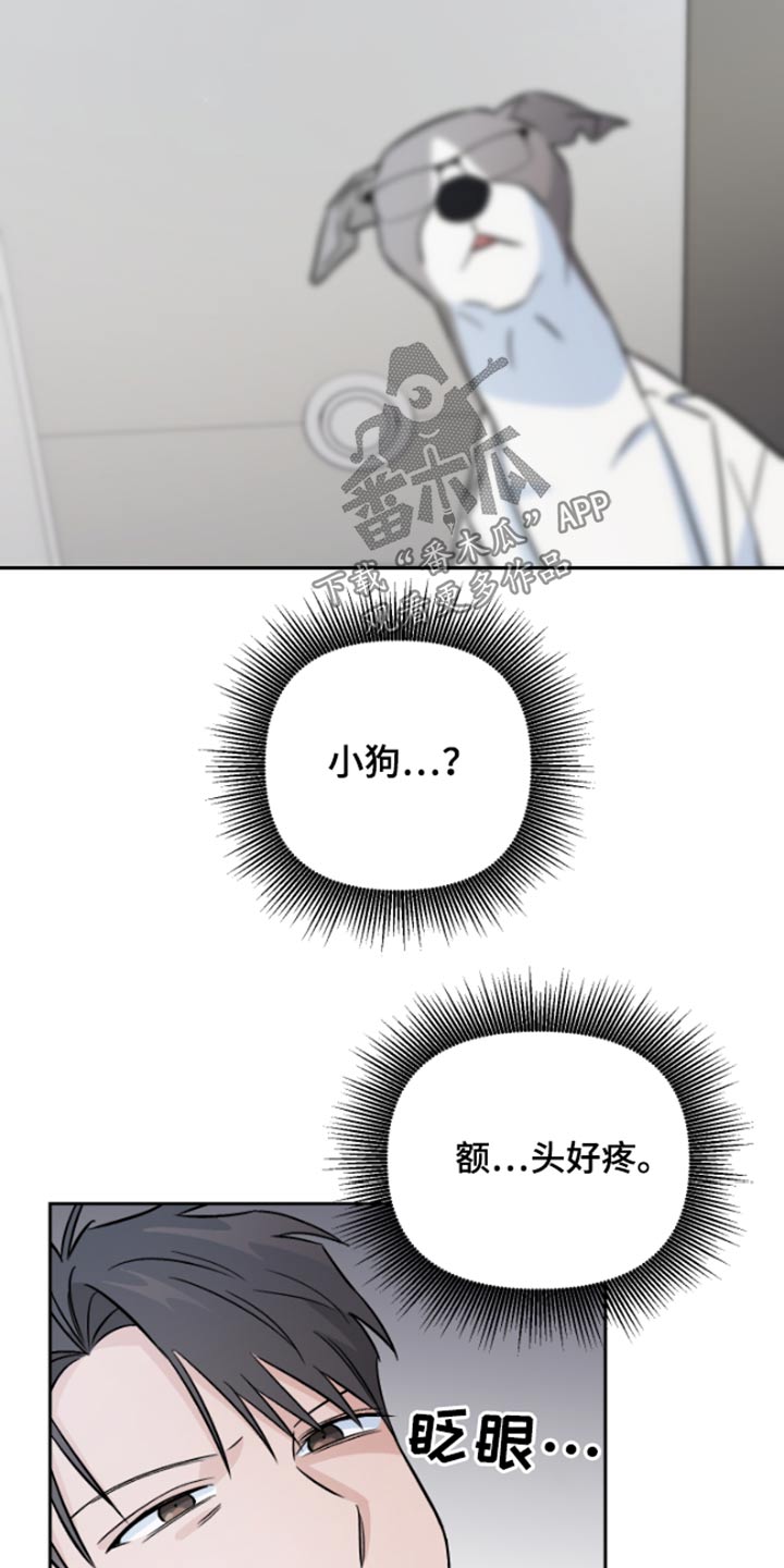第39章：记忆11
