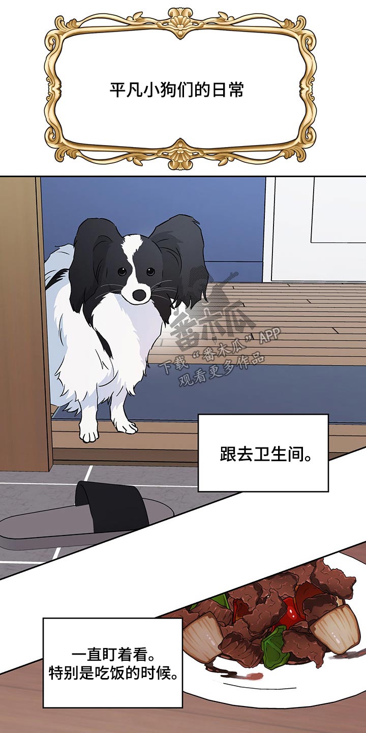 第35章：谣言11
