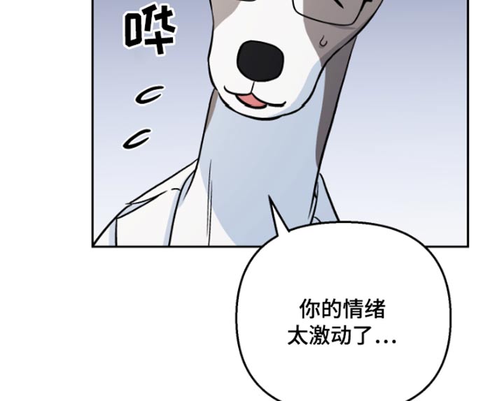 第38章：药物17