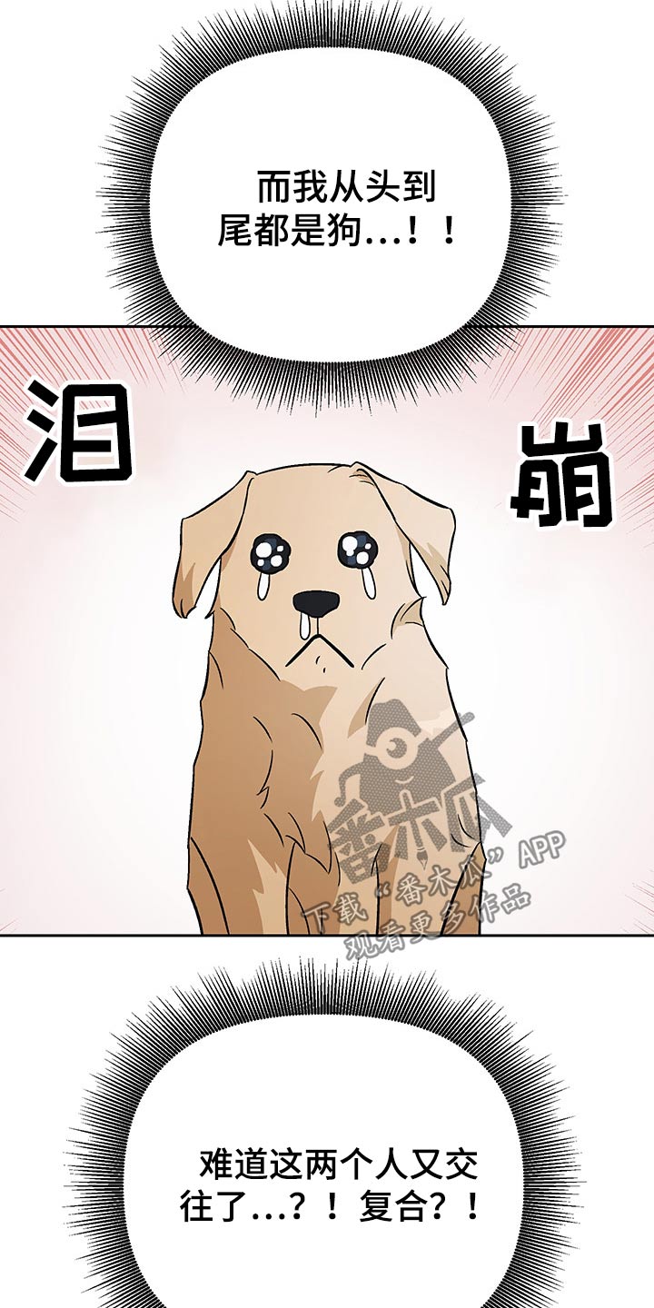 第32章：嘲笑11