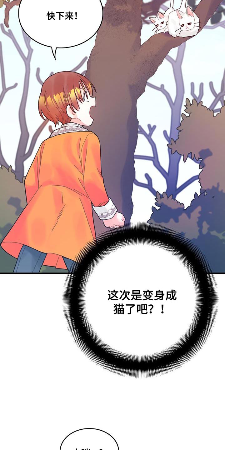 第42章：变成猫14
