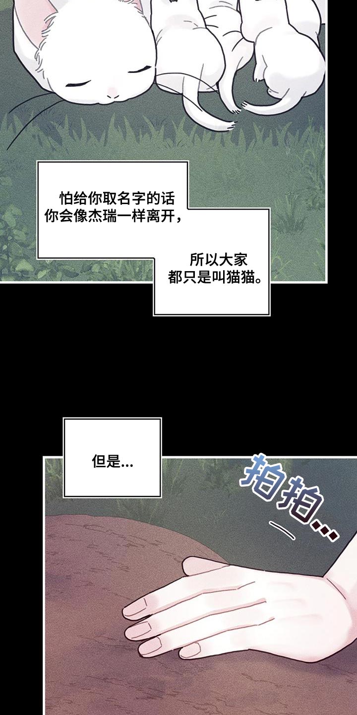 第100章：我醒悟了26