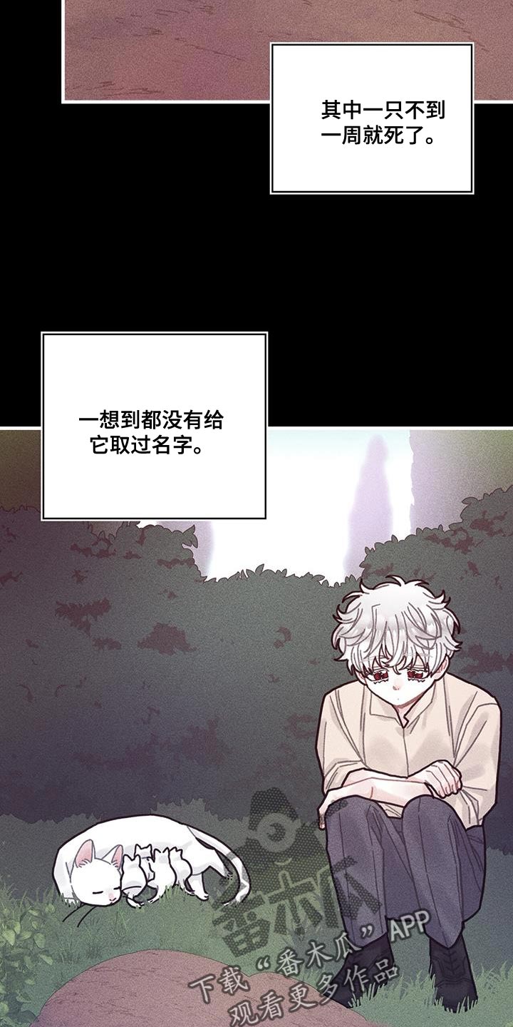 第100章：我醒悟了27