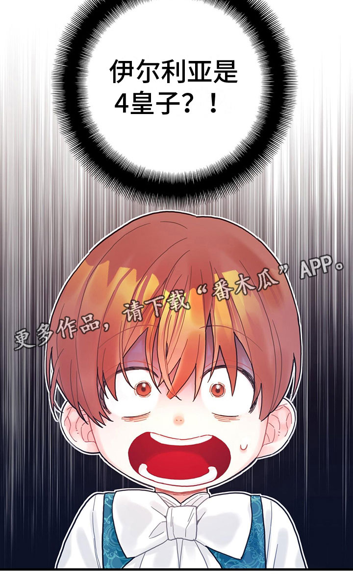 第12章：四皇子20
