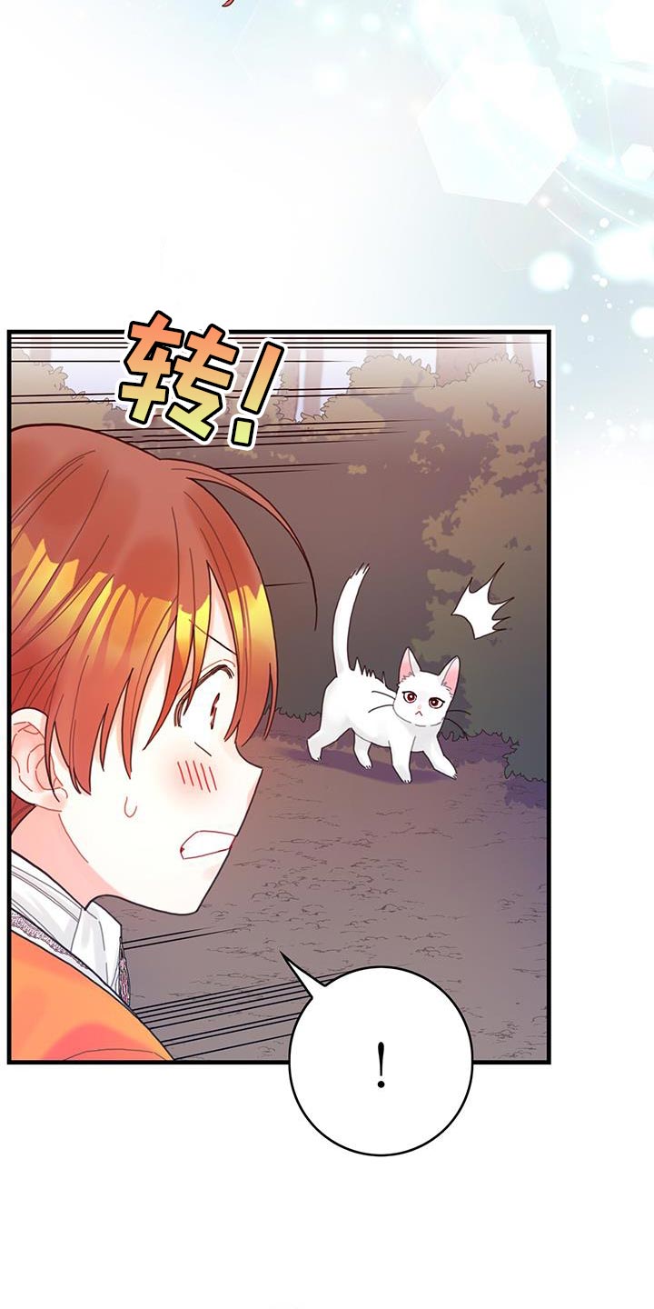 第42章：变成猫10