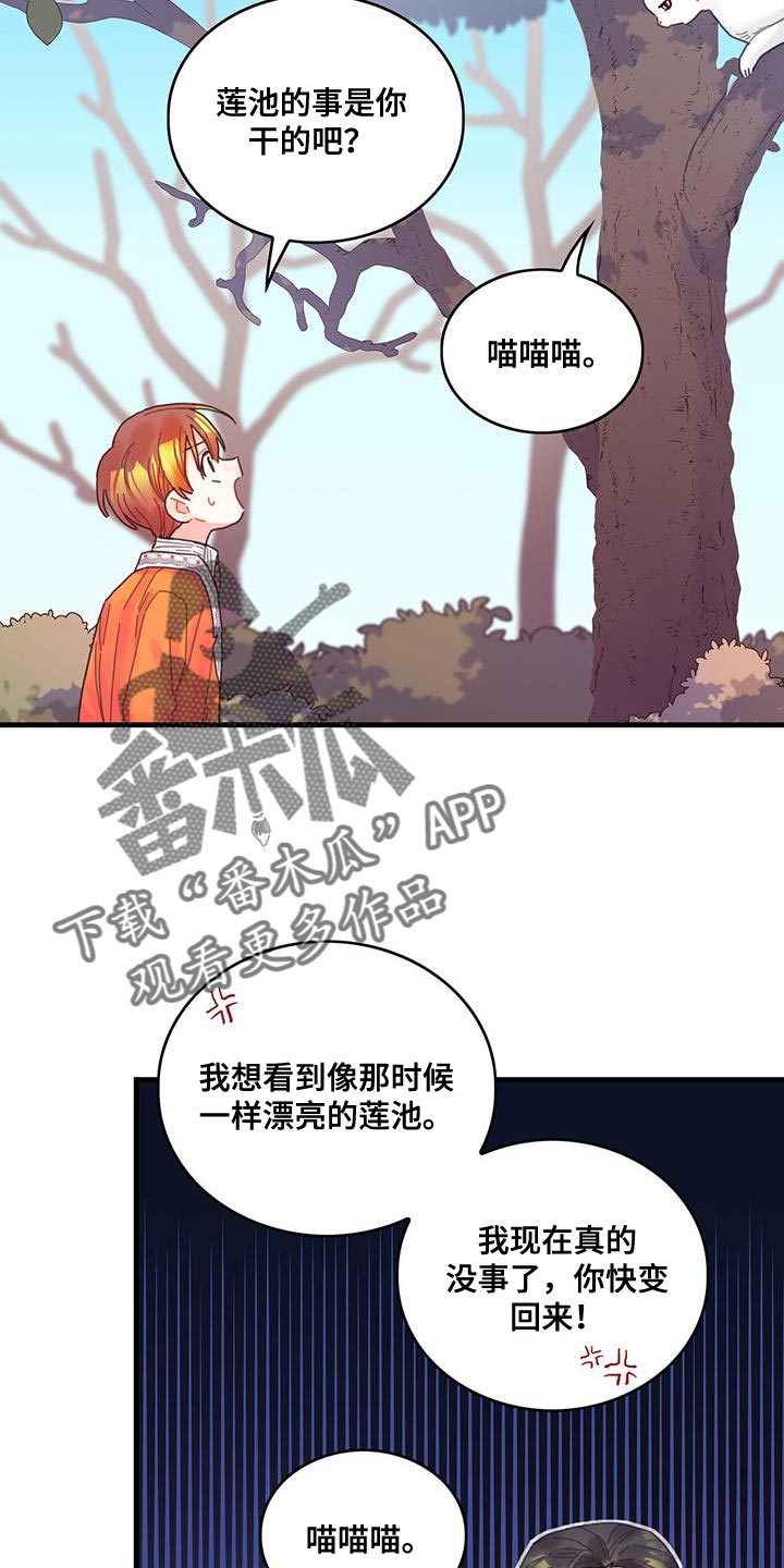 第42章：变成猫17