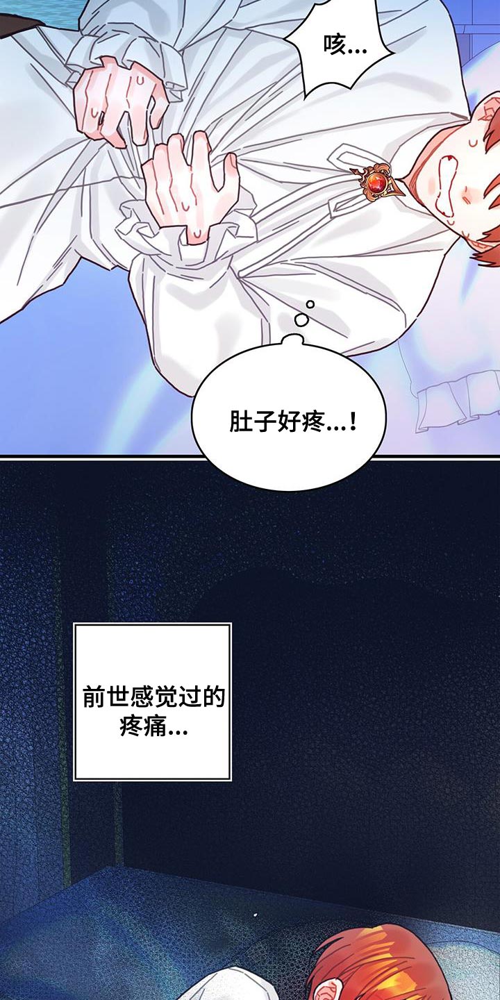 第91章：前世的疼痛24