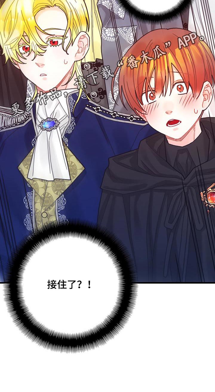 第81章：四皇子24