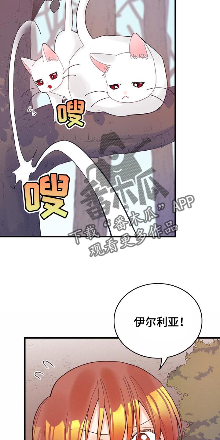 第42章：变成猫12