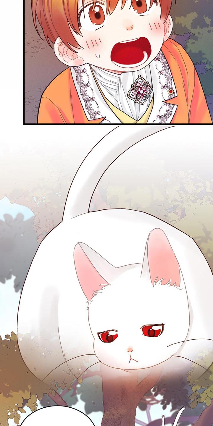 第42章：变成猫13