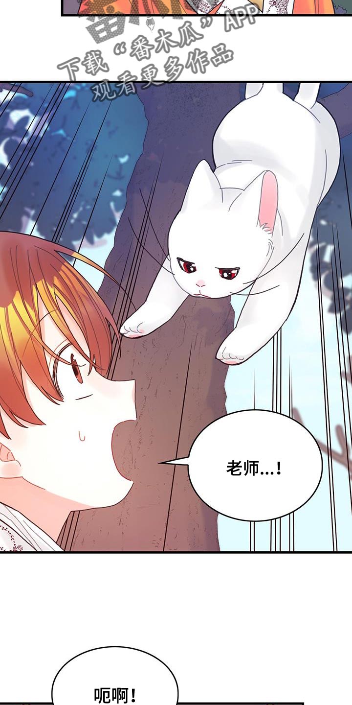 第42章：变成猫20