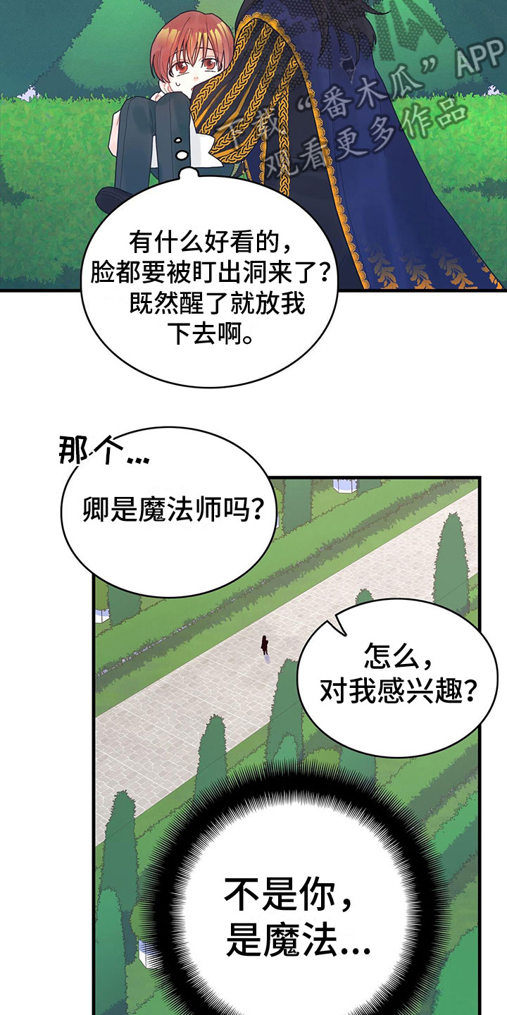 第6章：魔法师15
