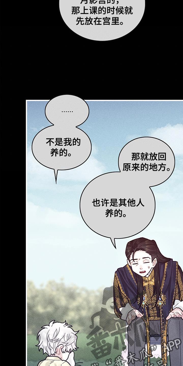 第98章：我不喜欢猫26