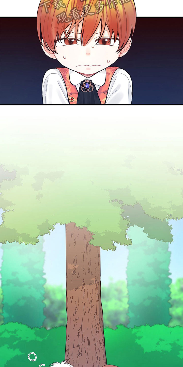 第19章：学习15