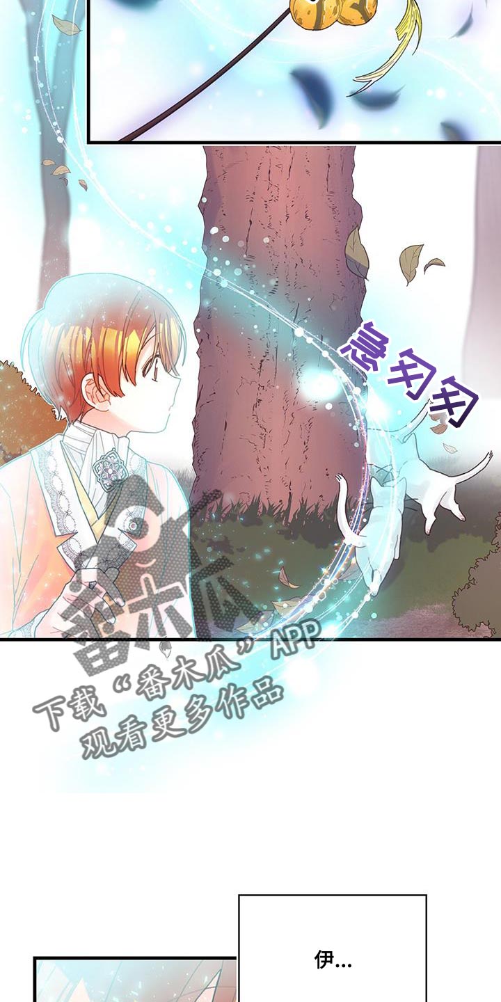 第42章：变成猫27