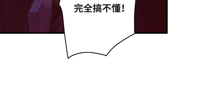 第64章：完全搞不懂25