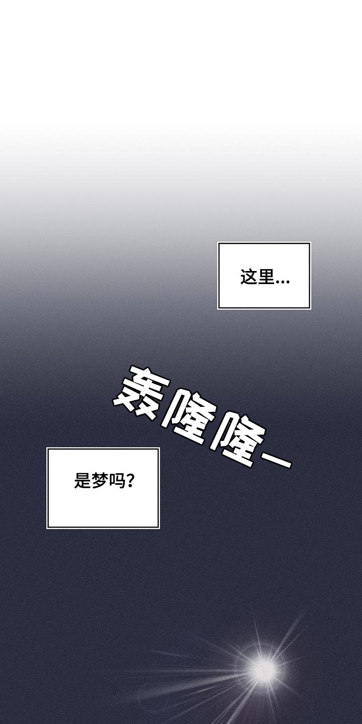 第91章：前世的疼痛17