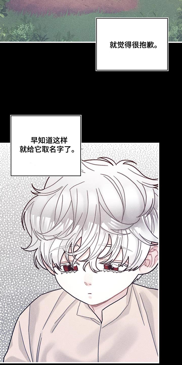第100章：我醒悟了28