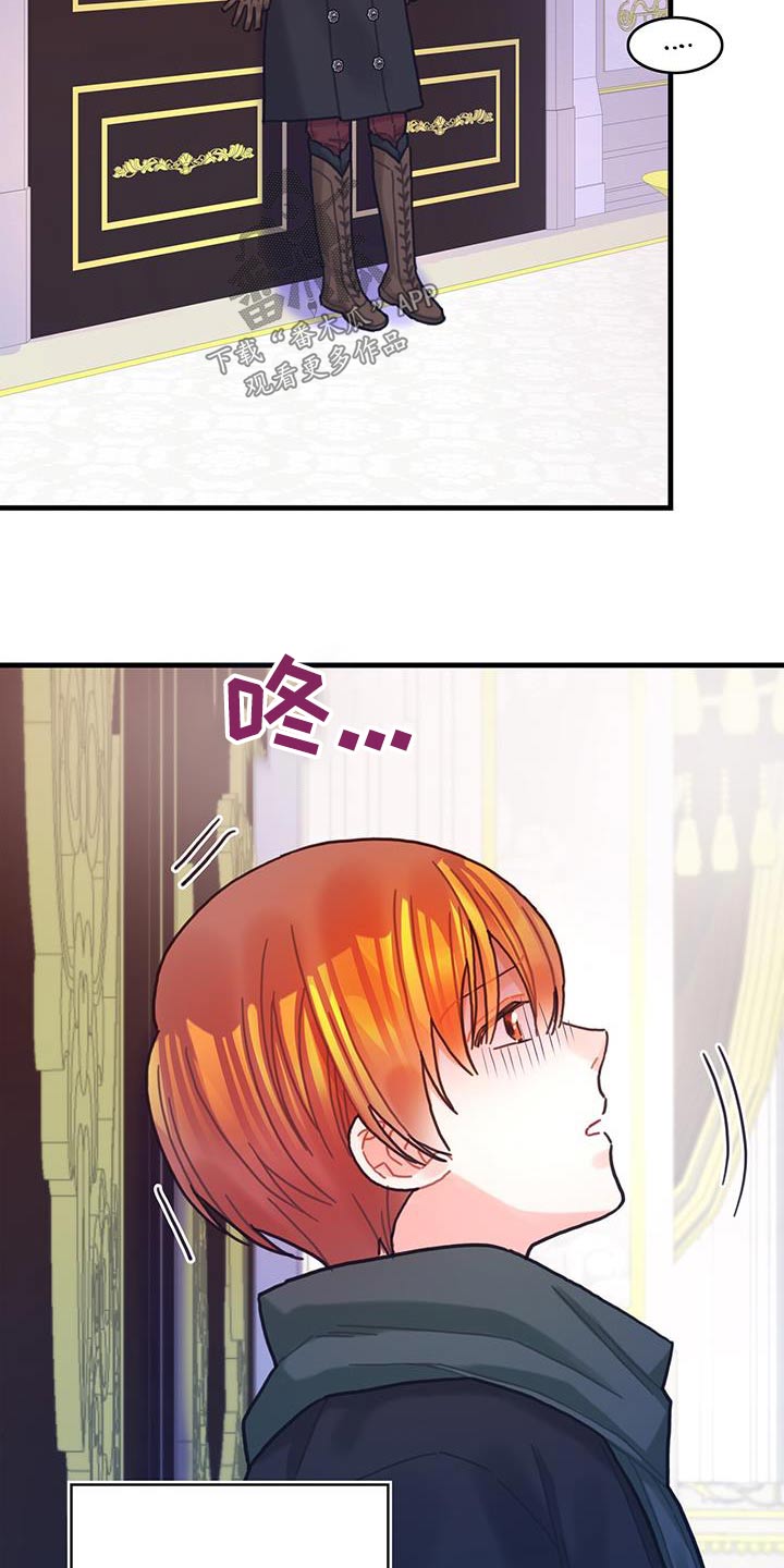 第85章：接下来怎么做25