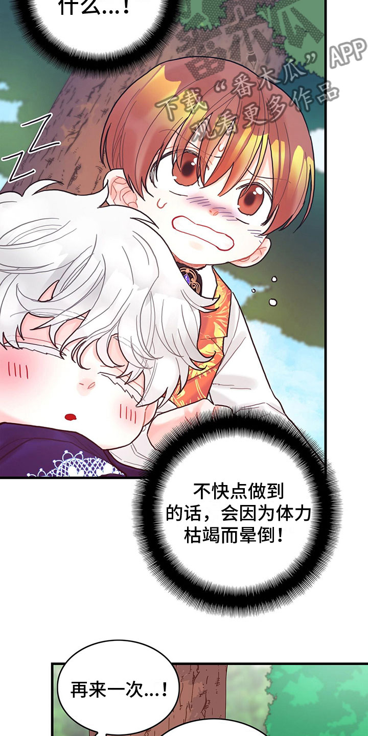 第20章：感知魔力14