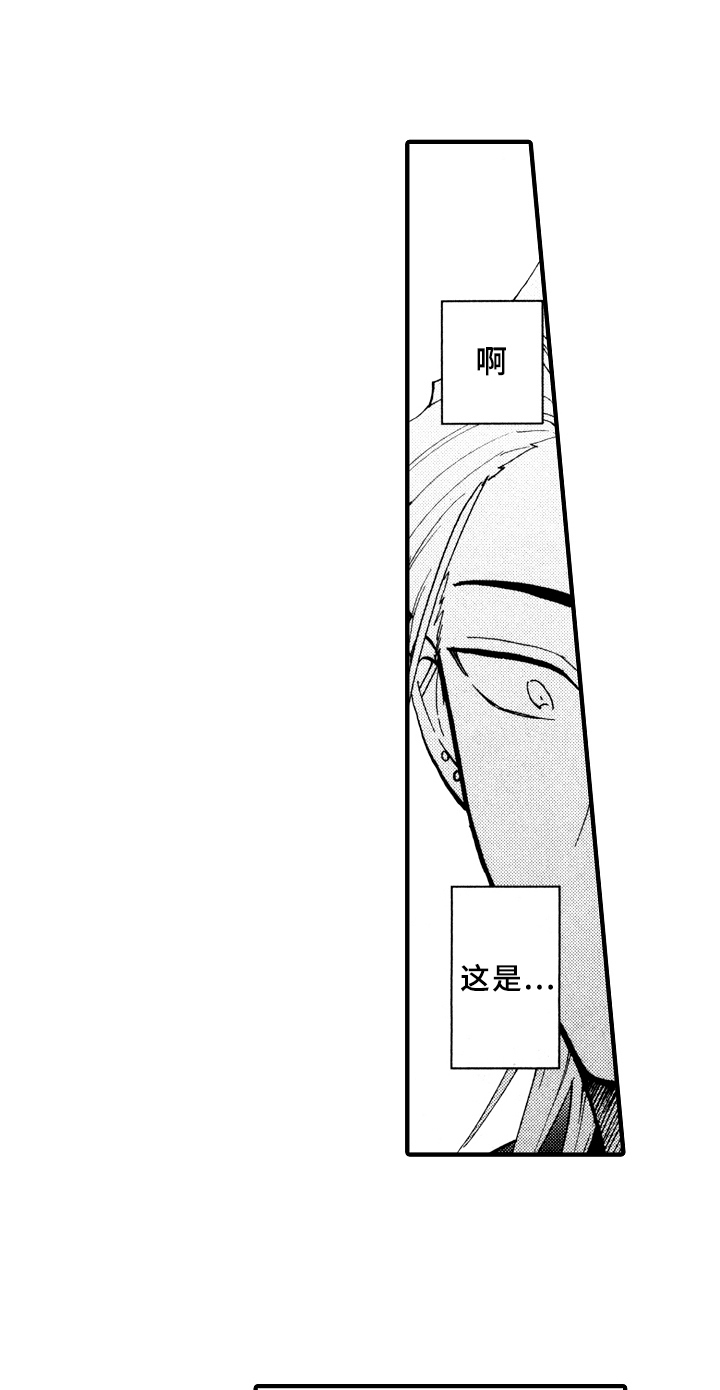 第19章：伤心13