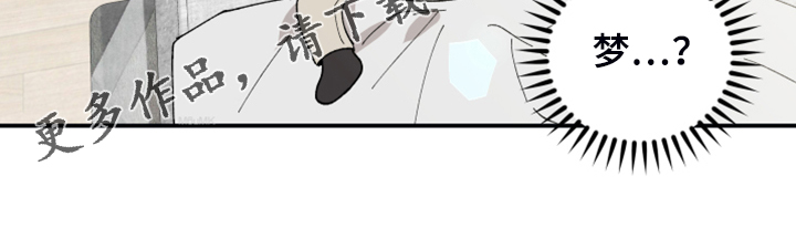 第43章：原来是梦18