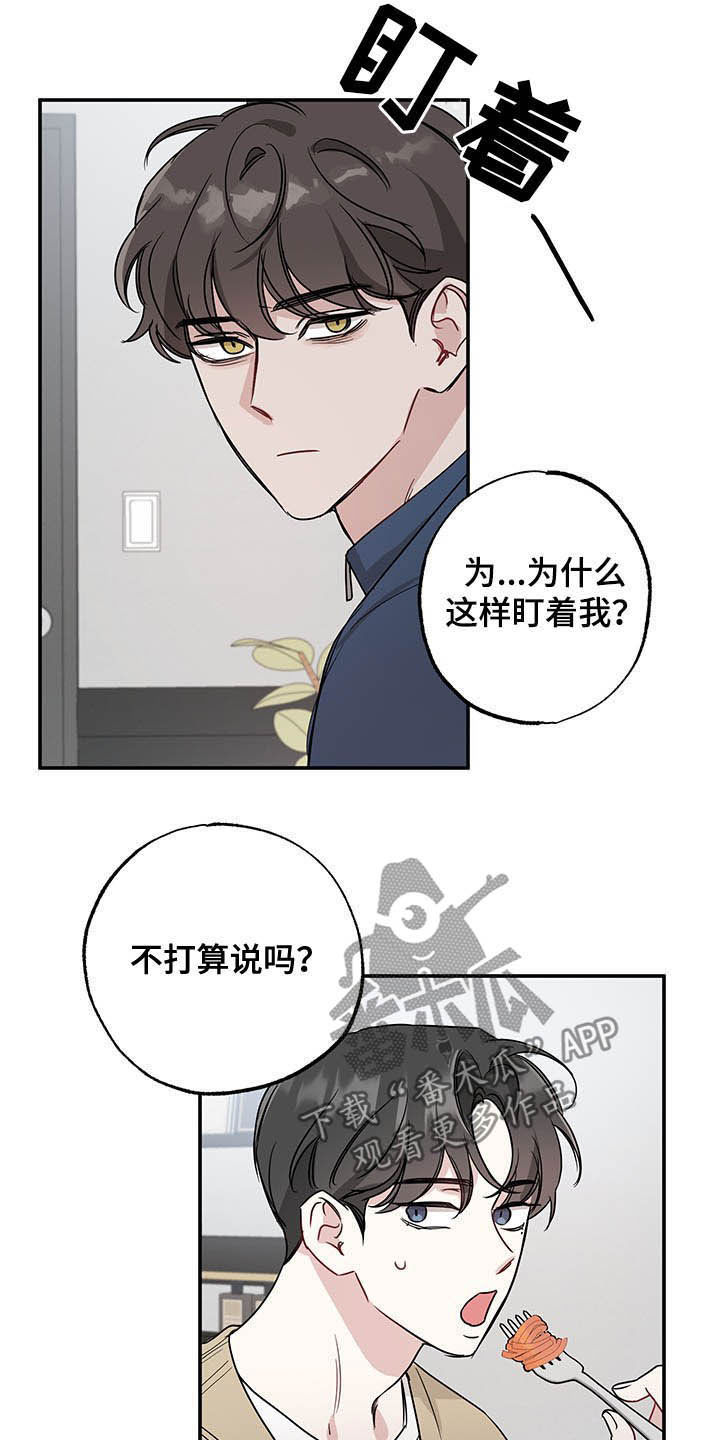 第17章：全盘托出12