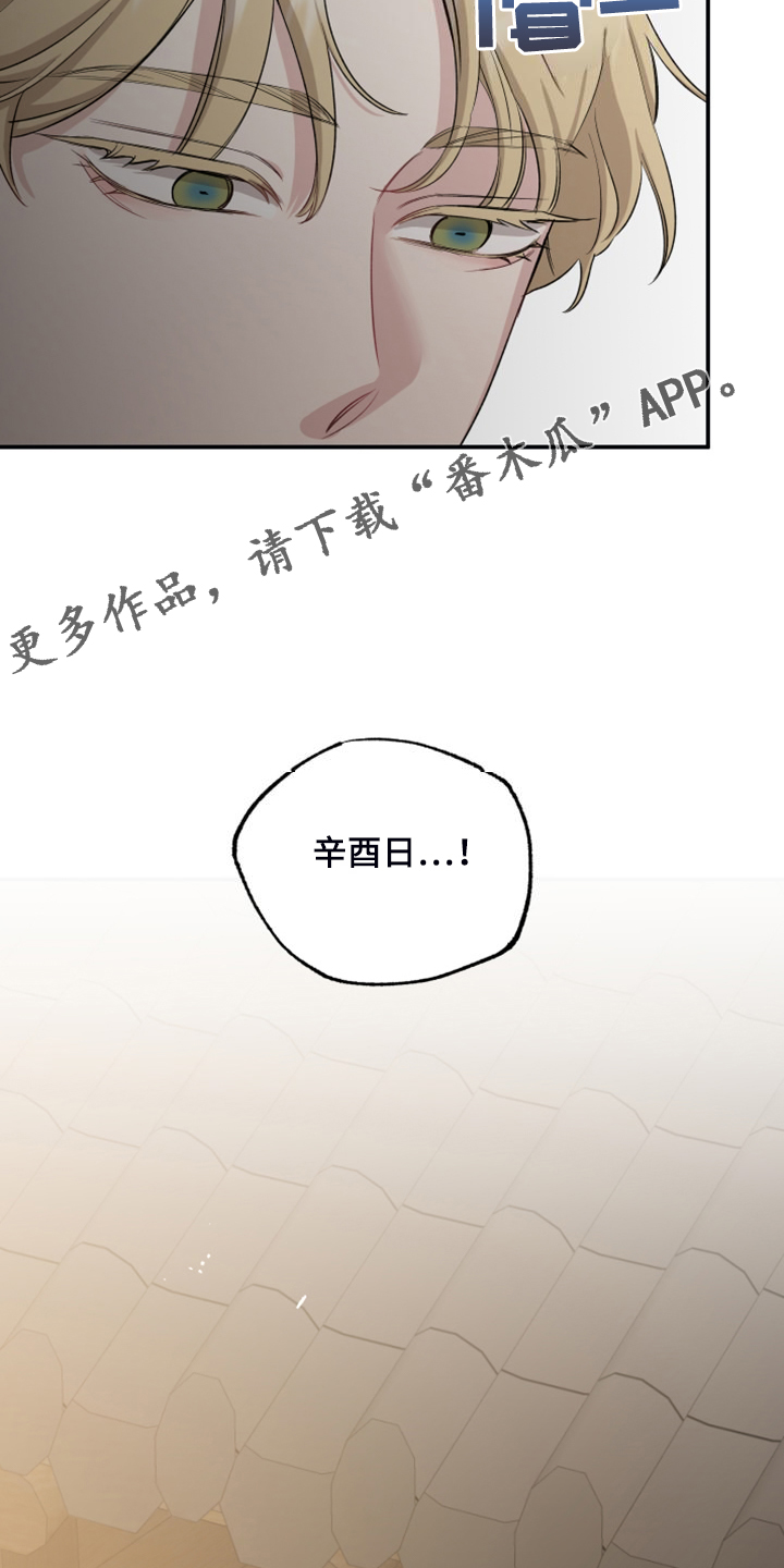 第56章：回到现实1