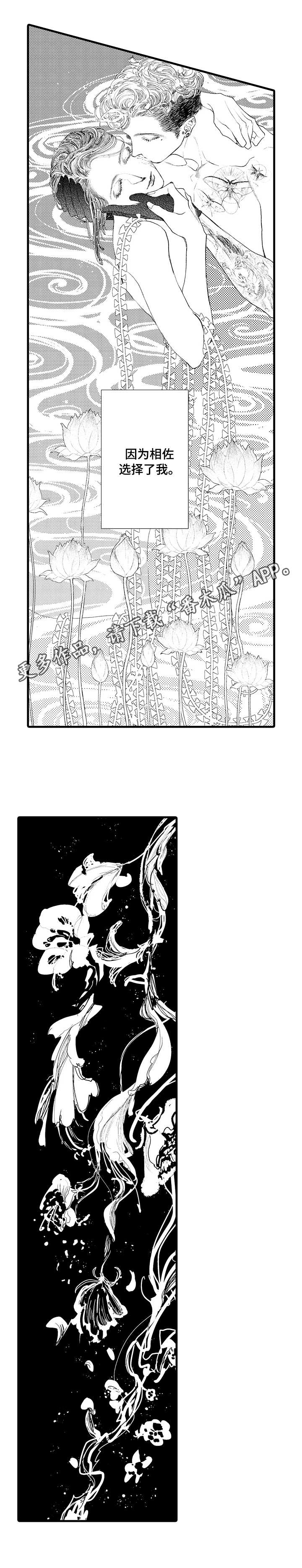 第20章：选择4