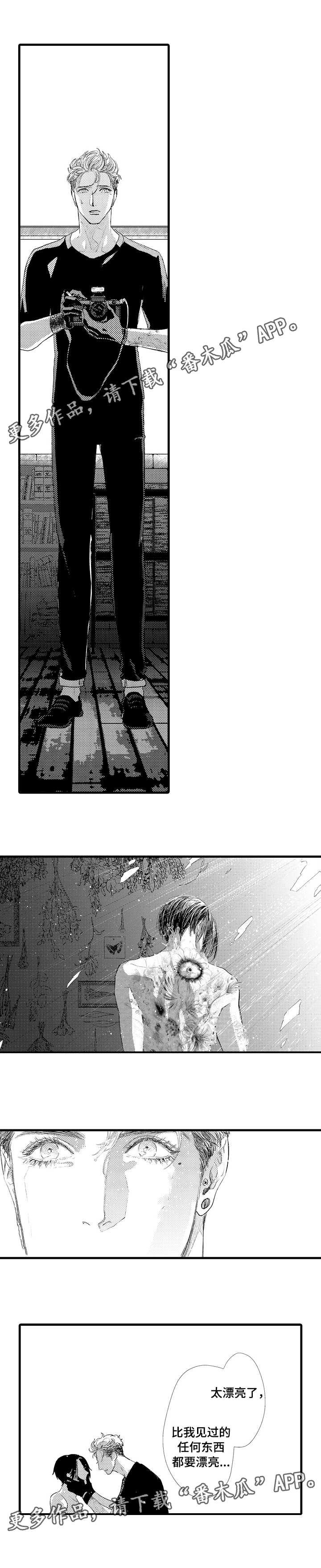 第20章：选择6