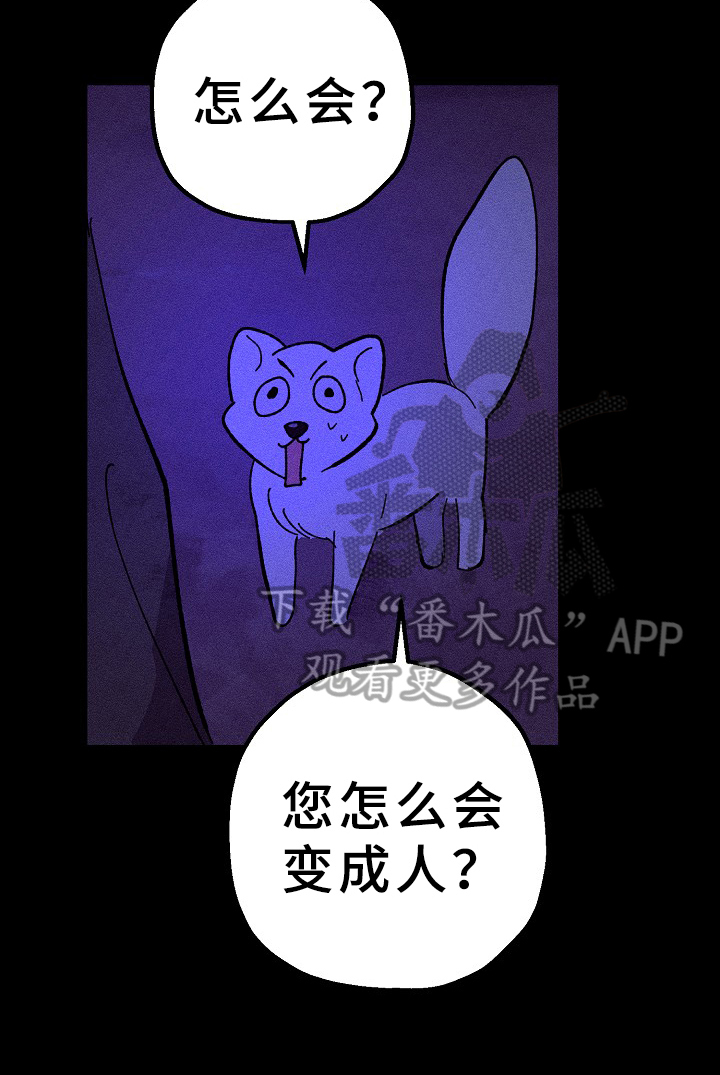 第22章：愿望7