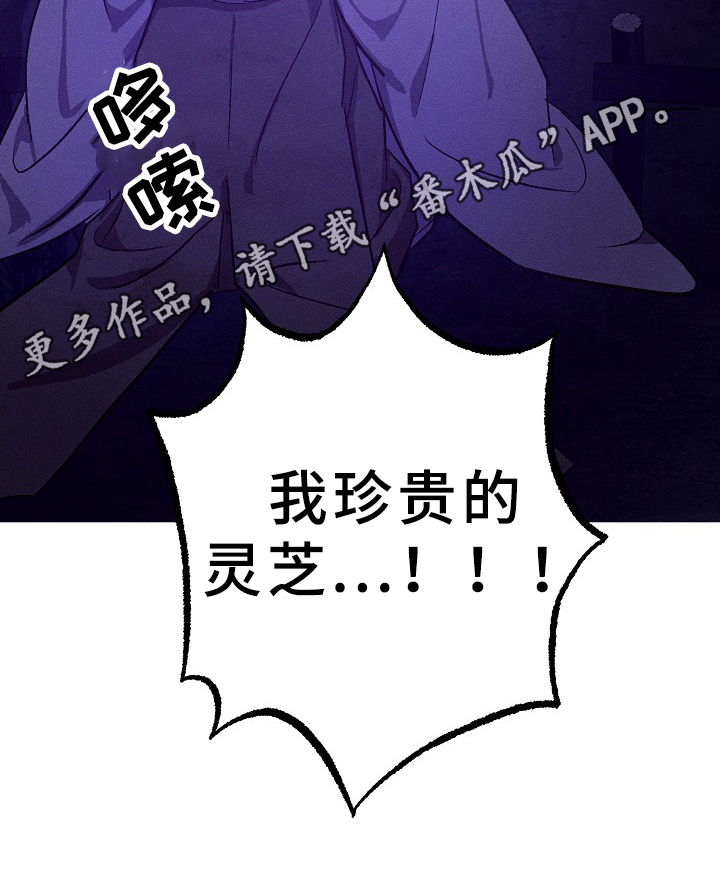 第32章：劝告11