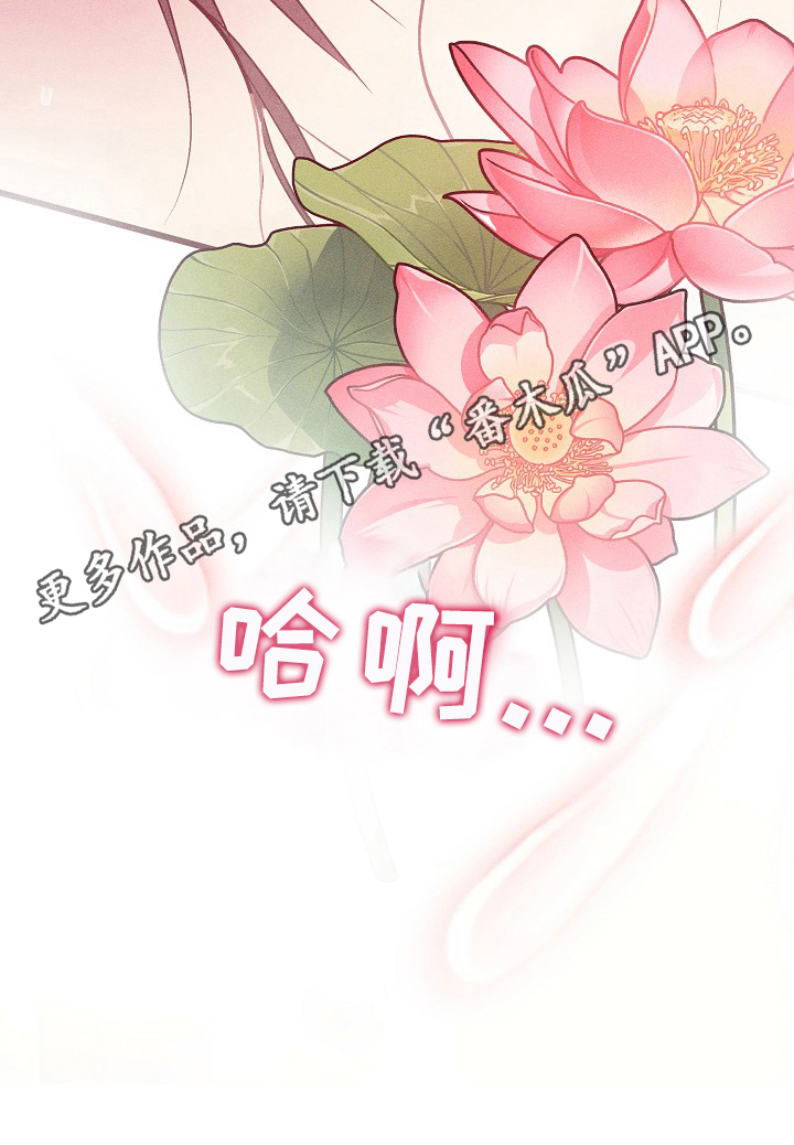 第16章：朦胧11