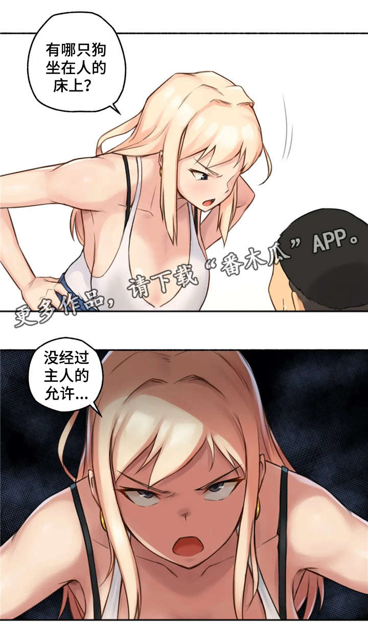 第25章：变化7