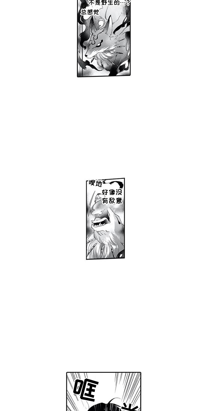 第8章：妖狐11
