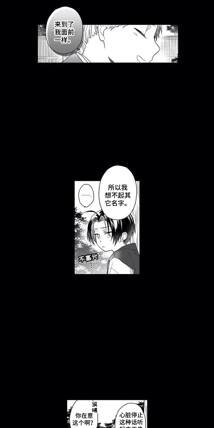 第19章：往事12