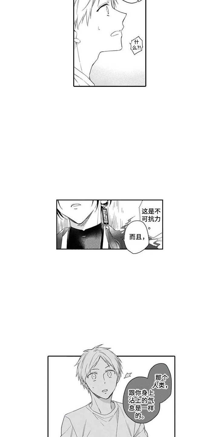 第14章：嫉妒心2