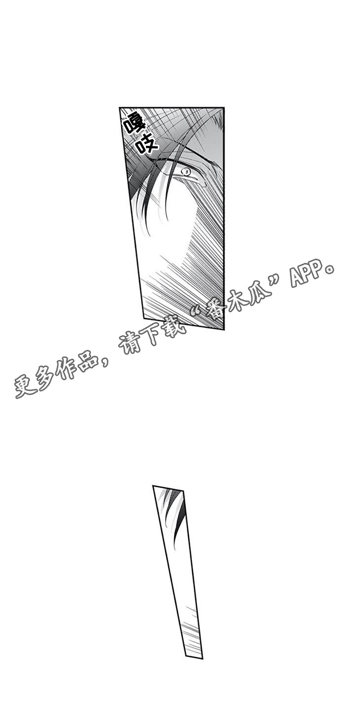第9章：保护3