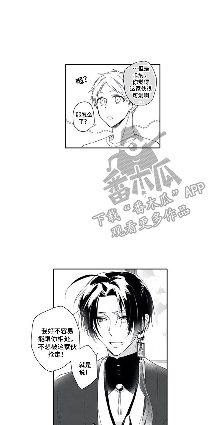 第10章：宠物13